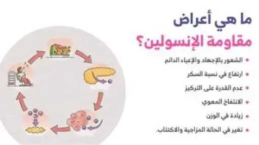 الأخبار