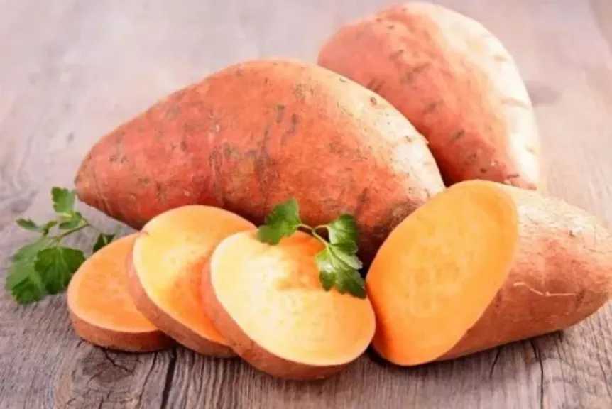 التغذية والدايت