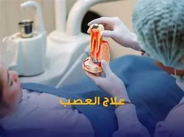 الأخبار