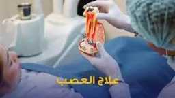 الأخبار