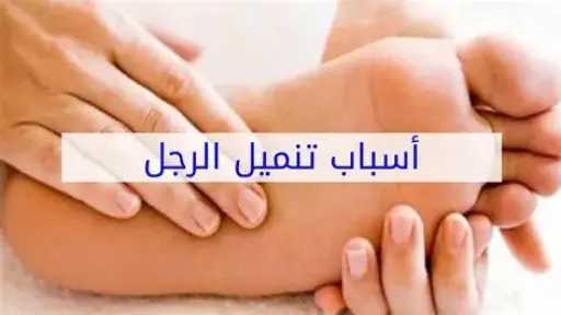 الأخبار