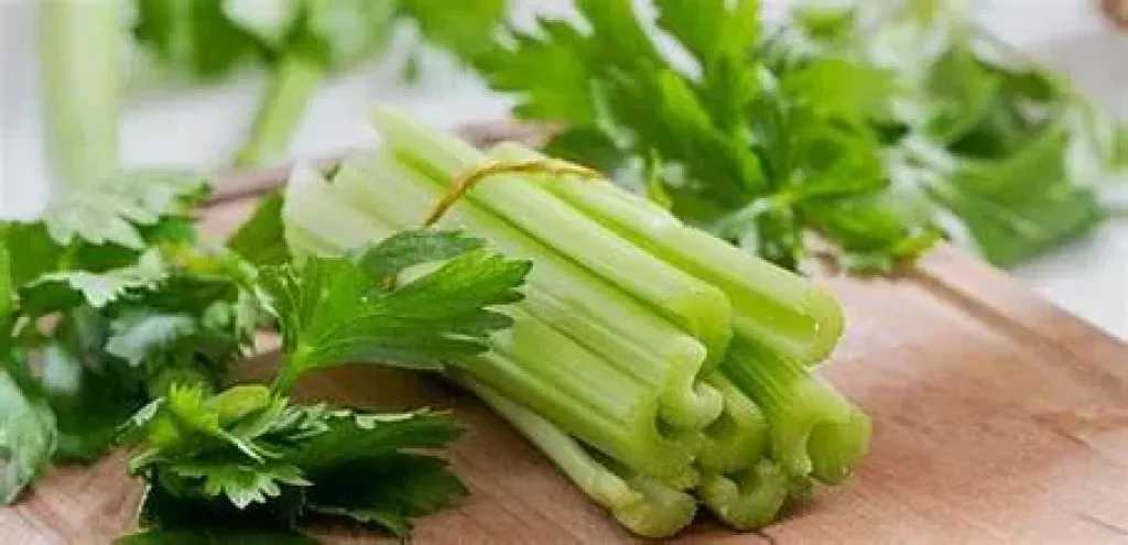 الأخبار