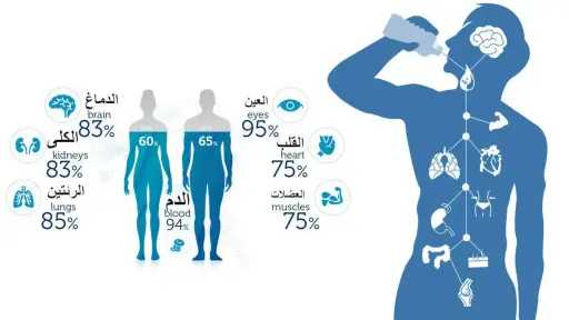 الأخبار