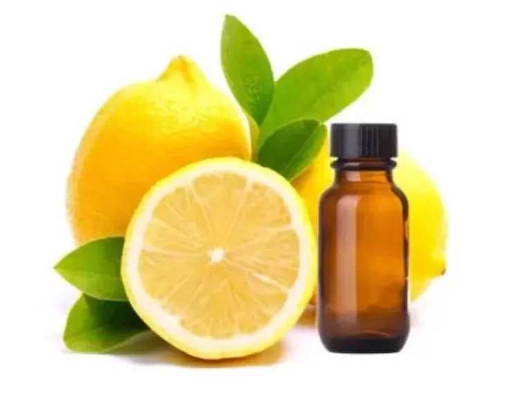 الصحة