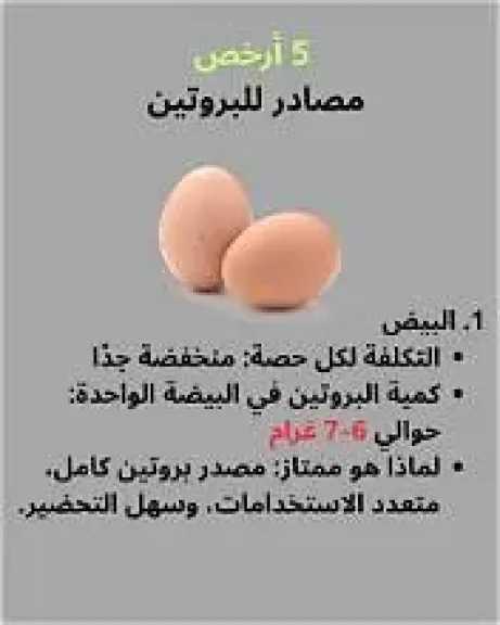التغذية والدايت
