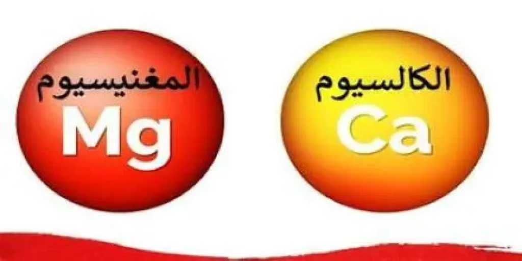 الأخبار