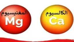 الأخبار