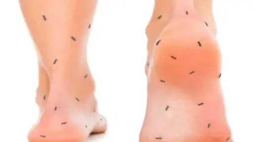 الأخبار