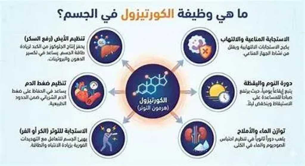 الأخبار