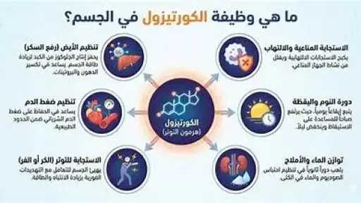 الأخبار