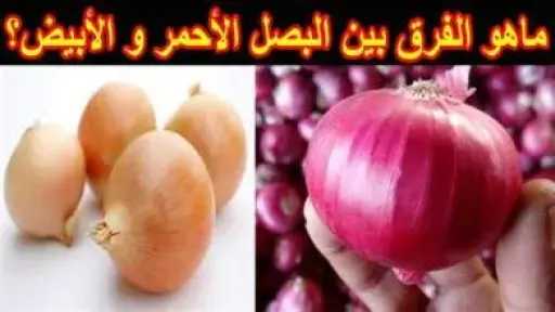 الأخبار