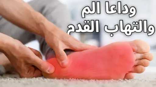 الأخبار