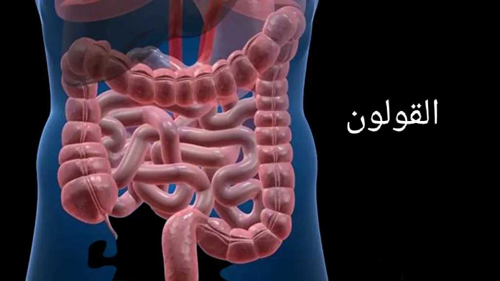 الأخبار