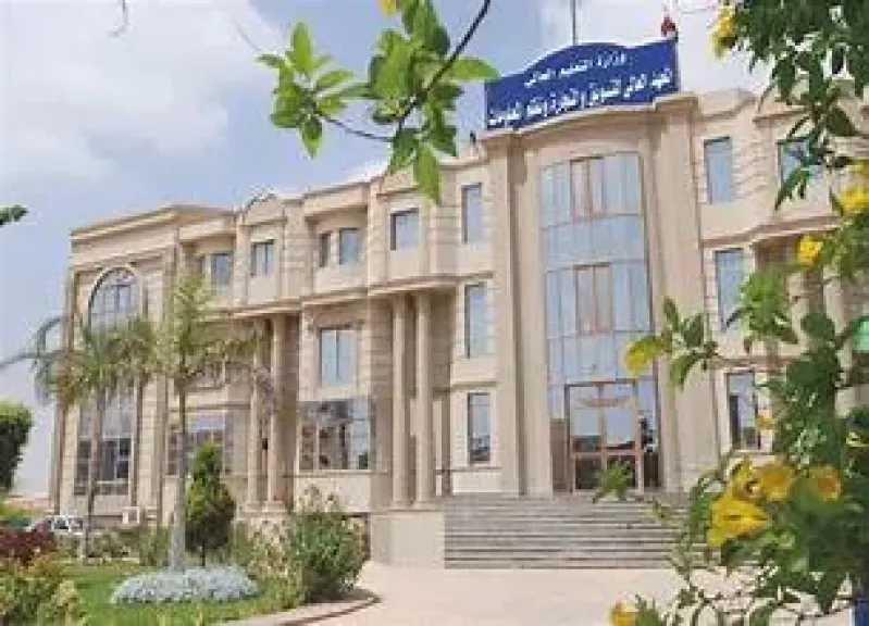 الأخبار