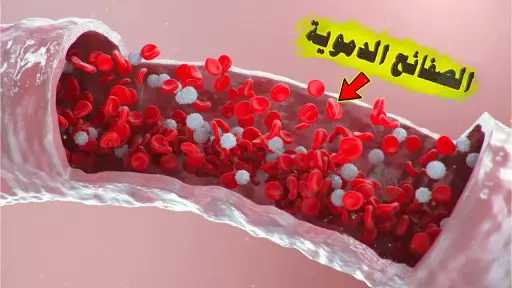 الأخبار