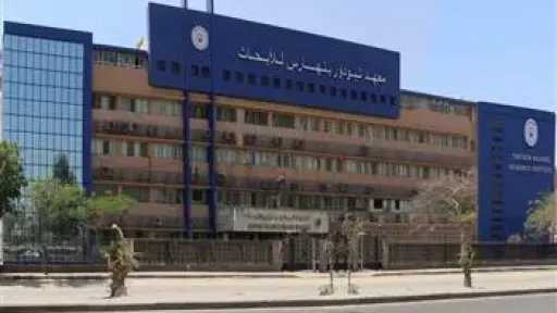 الأخبار
