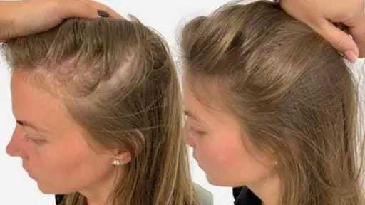 الأخبار