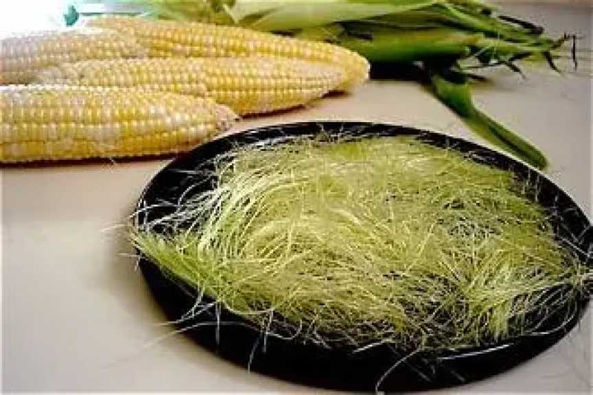 الأخبار