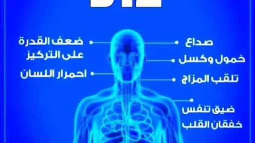 التغذية والدايت