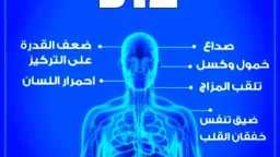 التغذية والدايت