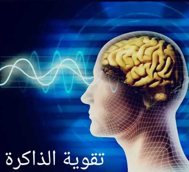 الأخبار