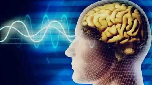 الأخبار
