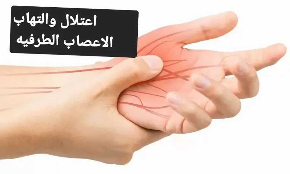 الأخبار