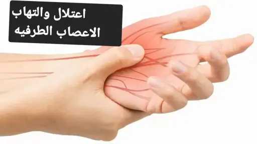 الأخبار