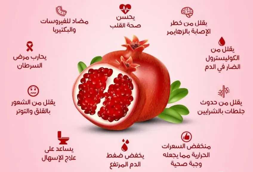 الأخبار