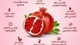الأخبار