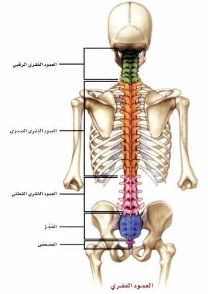 الأخبار