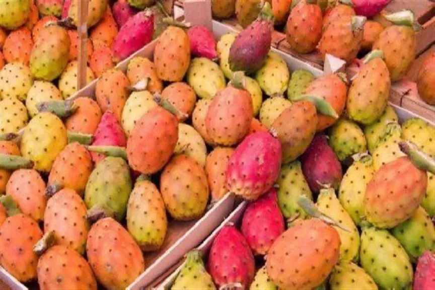 الأخبار