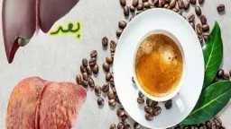 الأخبار