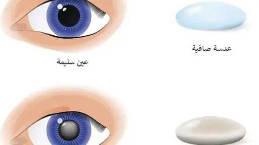 الأخبار