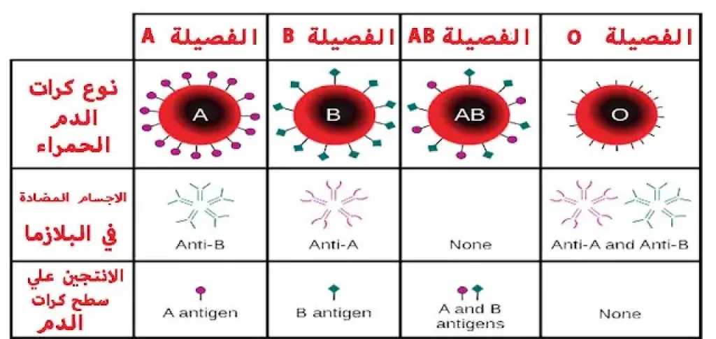 الأخبار