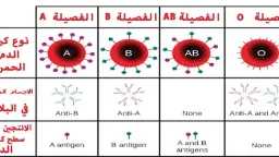 الأخبار