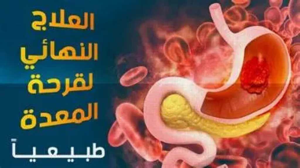 التغذية والدايت