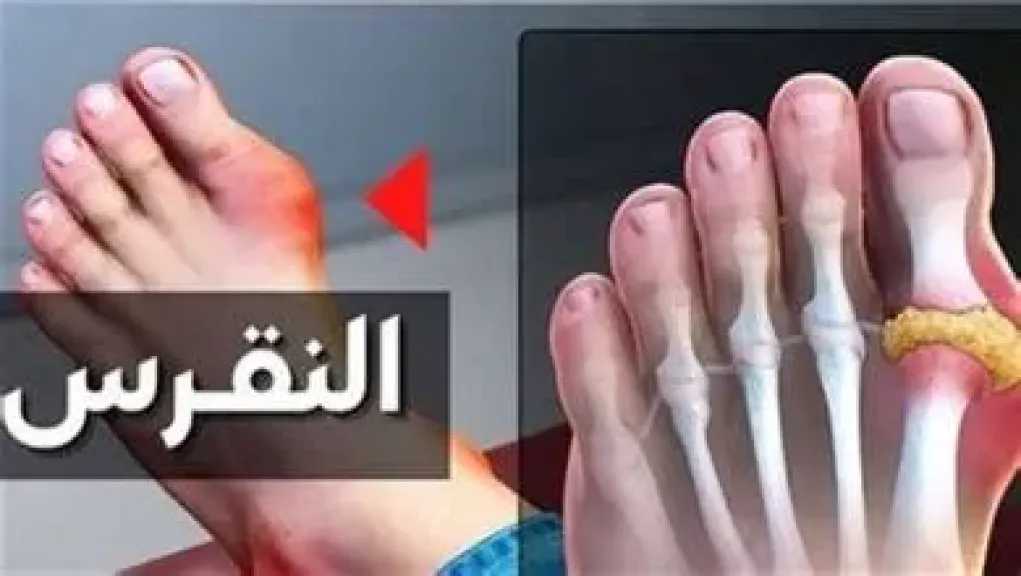 الأخبار