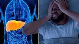 الأخبار