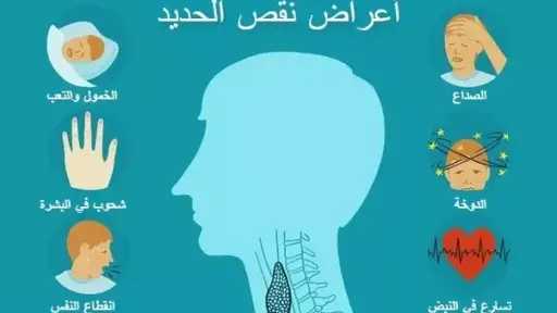 الأخبار