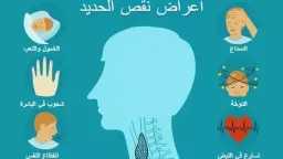الأخبار