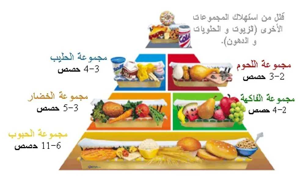 التغذية والدايت