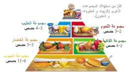 التغذية والدايت