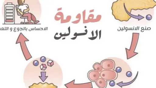 الأخبار