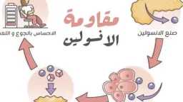 الأخبار