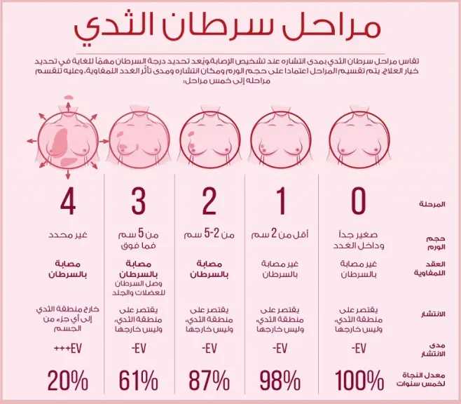 الأخبار