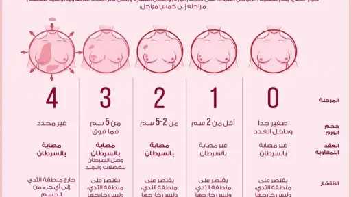 الأخبار