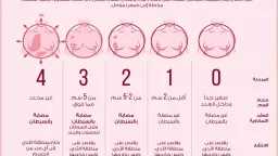 الأخبار
