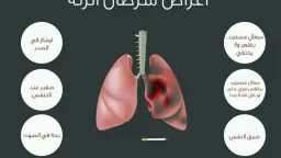 الأخبار