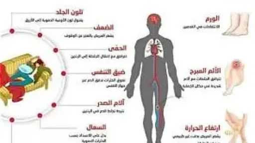 الأخبار